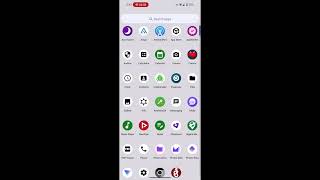 3,5 anos usando GrapheneOS