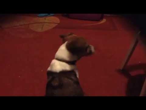 Moje první montáž!