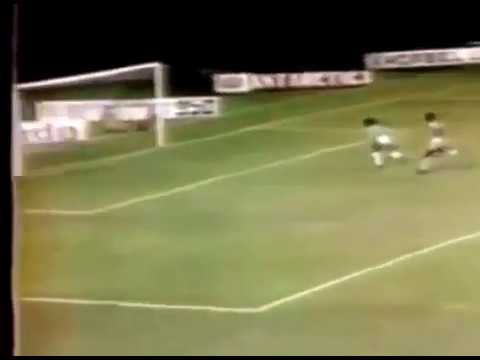 Dario José (Paysandu) - 05/08/1979 - Paysandu 3x0 Remo - 1 gol