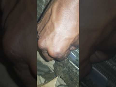 A nasty site at a Knights Inn Hotel...