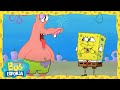 Bob Esponja Bob Esponja Y Patricio Tienen Caras Nuevas Bob Esponja En Español