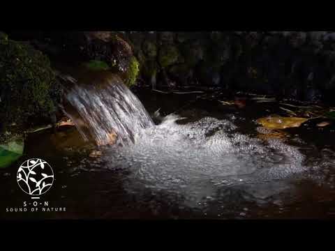 Leises Geplätscher eines Baches- Naturgeräusche für tiefe Entspannung
