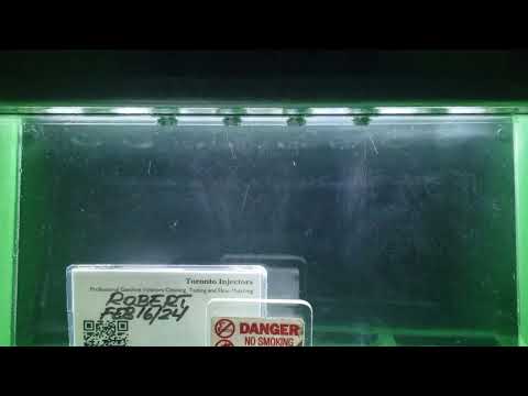 Porsche 944 Siemens Deka 110324 850cc spray pattern testing at Toronto Injectors