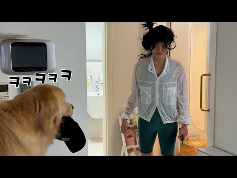 대역죄인 엄마 모습에 빵터진 리트리버