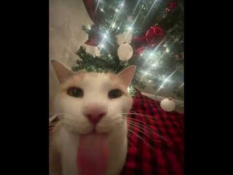 Dream Girl/Sky Surfer by Lone pitched down