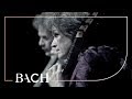 Bach - Brandenburg Concerto no. 6 in B-flat major BWV 1051 - Sato | Netherlands Bach Society