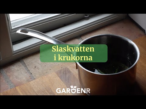 Använd slaskvattnet till krukorna - Trädgårdshacks med GardenR