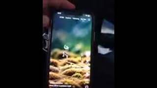 Download lagu Video 20250720 201621 mp3 Download lagu Video 20250720 201621 mp3