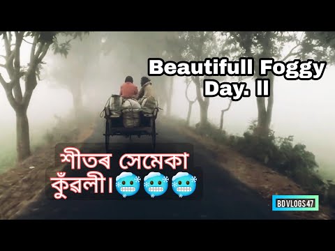 Beautifull Foggy day 🥶ll New video 2023lll (@bdvlogs4797 )