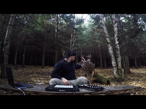 Monarke For Mind-Matter [Hybrid Set]