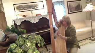 Riders on the Storm- Doors on the lever harp
