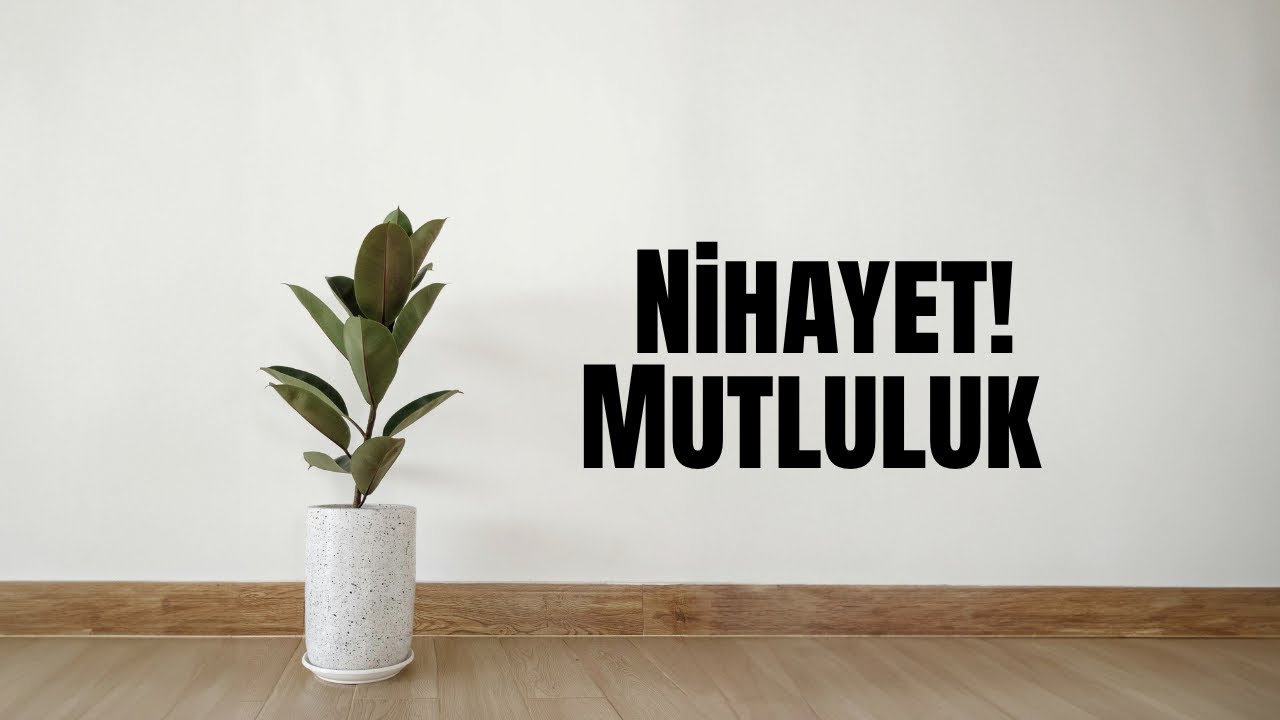 Nihayet! Mutluluk 