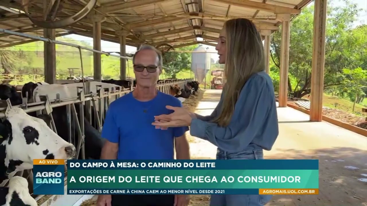 Do campo à mesa: veja o caminho do leite até chegar à sua casa
