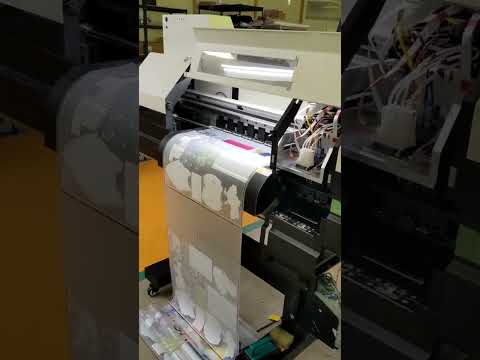 Б/У DTF принтер / ДТФ принтер - фото 1 - id-p2533634383