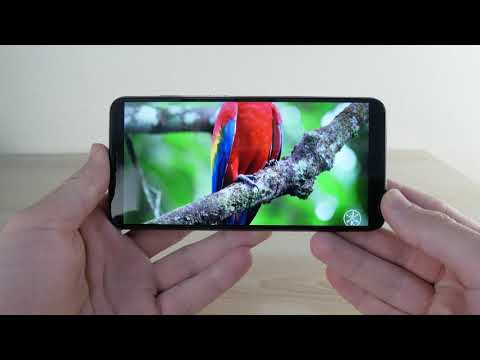 Cubot X19 review: Display