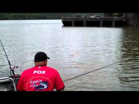 Chester, Pa Tournament for Cabela's King Kat with Bink & Janet "Team Fox"