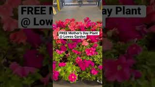 FREE Mother’s Day Plant @ Lowes Garden | Sign up online to get a free plant #garden #plants #shorts