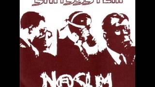 Skitsystem_Nasum - SPLIT