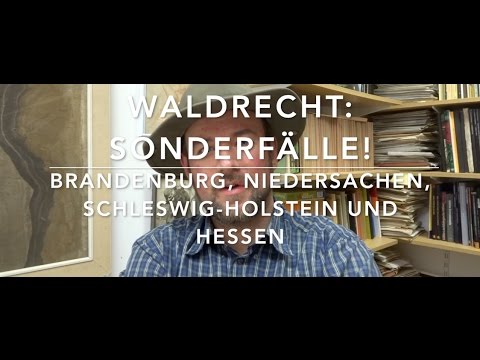 Special cases in outdoor forest law