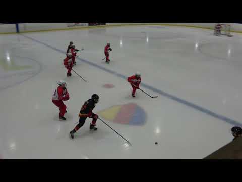 IFK Tumba Hockey Team 08 vs Djurgården