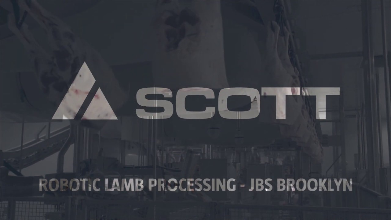 Automated Lamb Processing at JBS Brooklyn