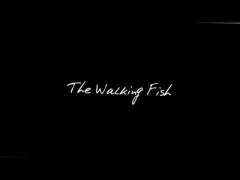 The Walking Fish youtube-video