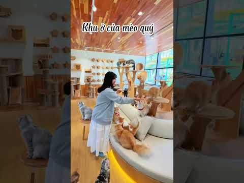 Video về Trải Nghiệm Thú Vị Với Tour Sở Thú Zoodoo Đà Lạt 1 ngày