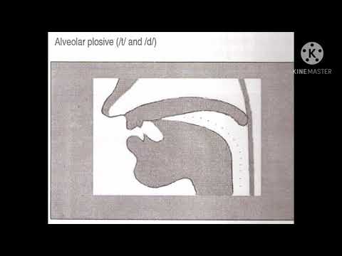 Manners of articulation