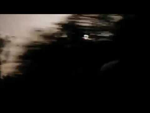 Martin Garrix & Justin Mylo -ID (Evolve)