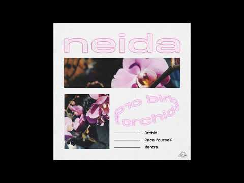 Neida - Mantra