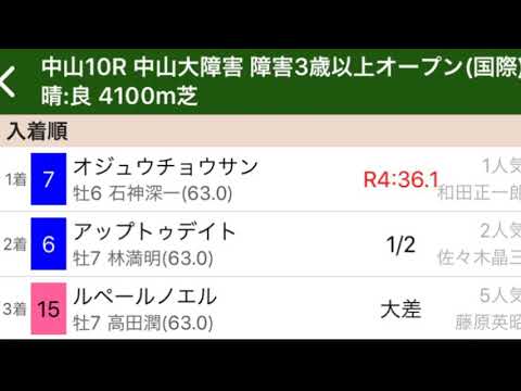 【オジュウチョウサン】2017年中山大障害を現地で見た感想【アップトゥデイト 】