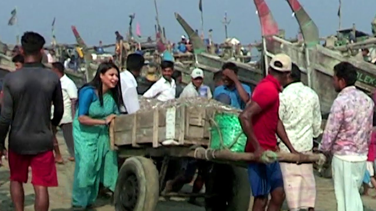 বাংলাদেশের সর্ববৃহৎ নাজিরারটেক  শুটকি পল্লীতে শুটকি বেচাকেনা || @PanoramaDocumentary