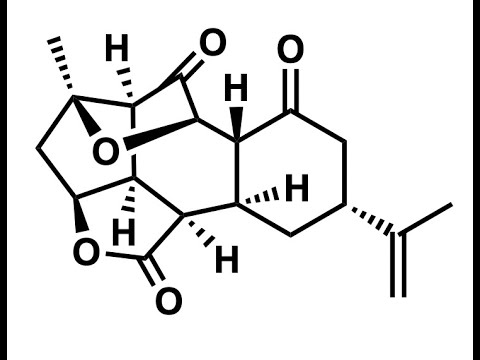 A Convergent Total Synthesis of (+)-Ineleganolide with Benjamin Gross