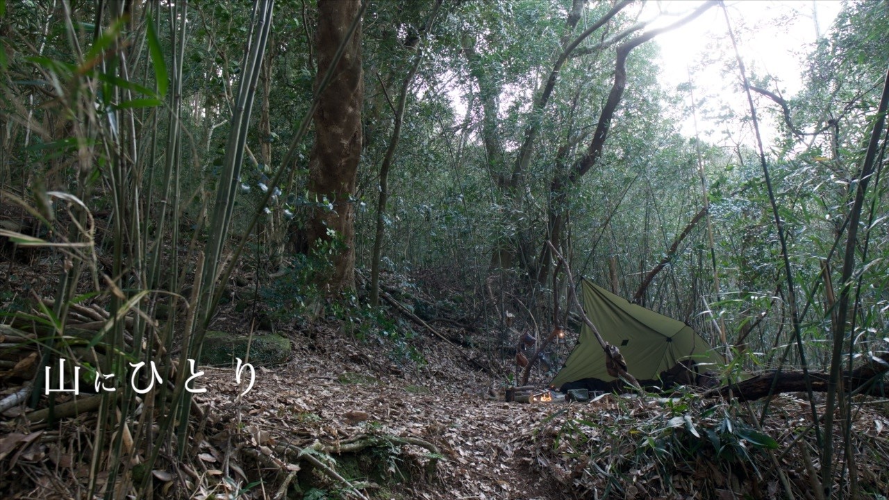 ひとり山を貸し切って野営ソロキャンプ/ヘリコンテックス スモールタープ