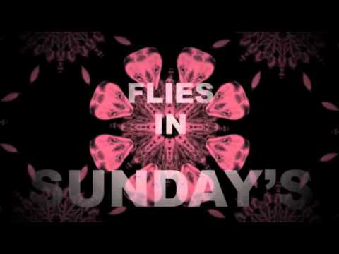 Shakals - Flies in Sunday's Rum