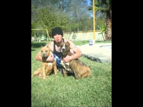 POR LOS QUE SE FUERON