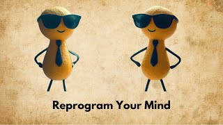 The Confidence Algorithm – Reprogram Your Mind