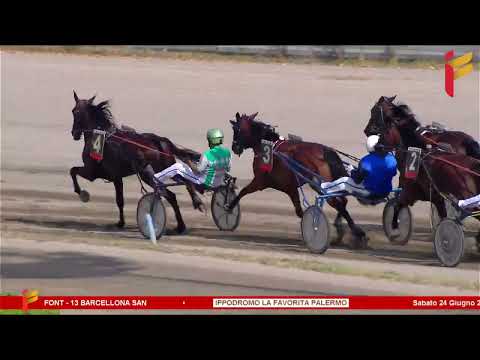 II Corsa del 24 Giugno 2023 - 5 Anni ed oltre - Metri 2000