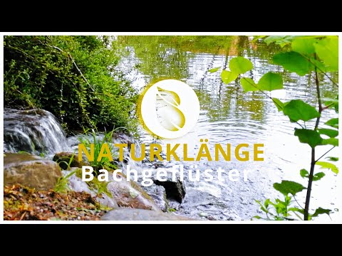 Bachgeflüster | rauschen eines Baches, 1h | Naturklänge