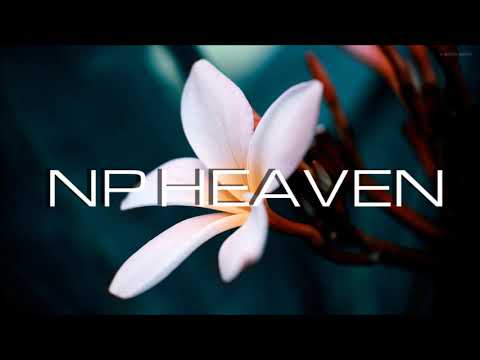 NP HEAVEN X NUMA O ZONE FIESTA 2018
