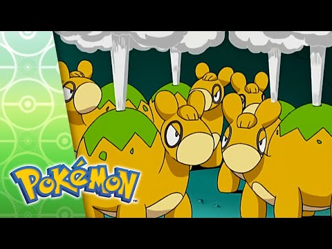 Game Winning Assist | POKÉMON FULL EPISODE 13 | Season 7