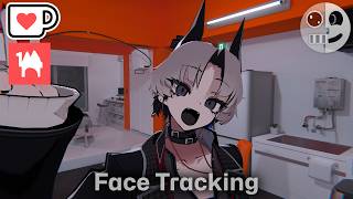 SiuSiu - Face Tracking Add on