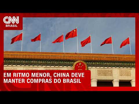 China vai seguir comprando soja do Brasil no futuro, mas em ritmo menor | CNN AGRO NEWS