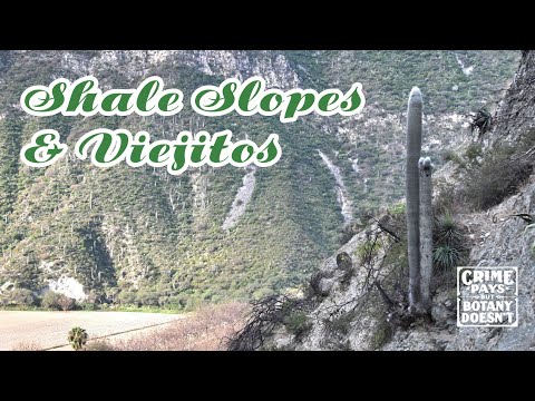 Asturias: Viejitos & Shale Slopes for Water & Carbon