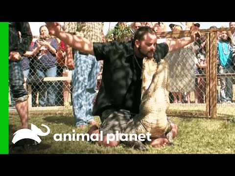 Gator Boys Show Off Their Skill In A Road Show | Gator Boys