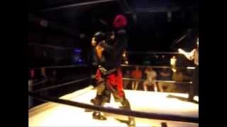 The Flea  Nightmare by The Casualties