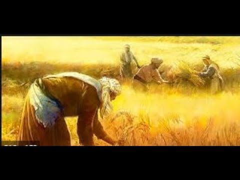 PROPOVIJED Vel  Ivan Miškić XVI NEDJELJA KROZ CRKVENU GODINU 19 .07. 2020.g.