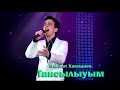 Ильшат Хамадиев - Тансылуым 