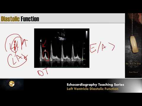 Lecture 6 - LV Diastolic Function