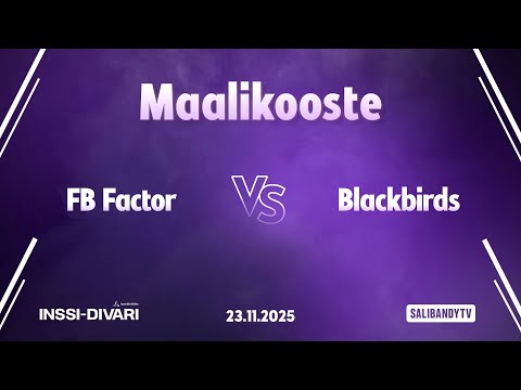 Maalikooste: FB Factor - Blackbirds (Inssi-Divari N)